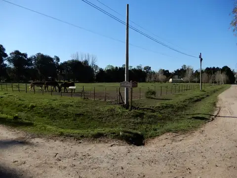 Excelente gran terreno en barrio Altos de Robles