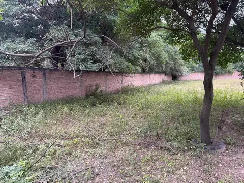 Independencia y Los Lapachos 100