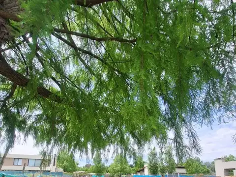 RBS. Lote en barrio Brujas, Pilar, barrio Pellegrini