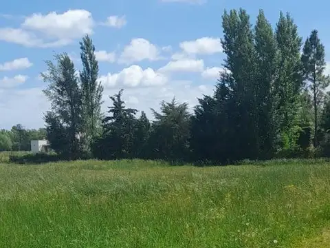 Terreno en Venta de 5000,0 m2