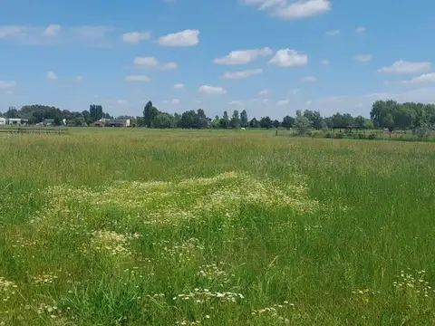 Venta - Lote - Haras El Malacate 5000m2