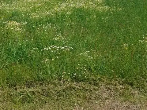 Venta - Lote - Haras El Malacate 5000m2