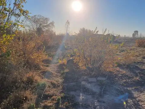 ALQUILER LOTE COMERCIAL