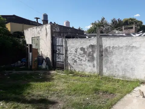 rafael de sanzio y scaglia 100