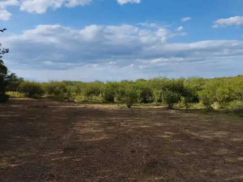 Campo en Cienaga De Allende