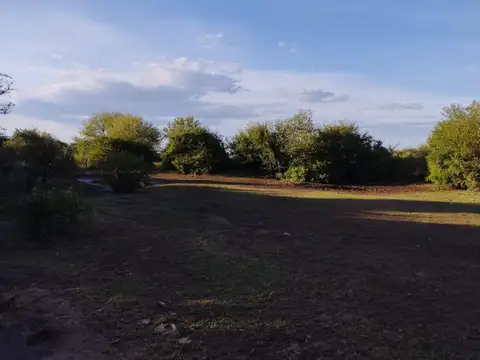 Campo en Cienaga De Allende