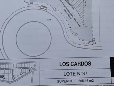 los cardos Juan Bautista De Lasalle al 2000