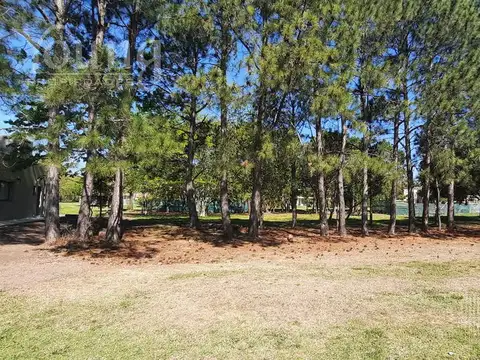 GREENVILLE POLO & RESORT