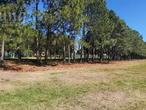 Terreno en Venta 20  mts Frente