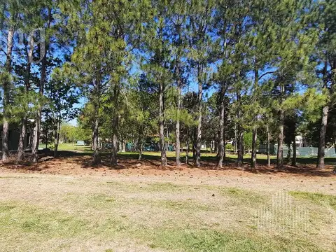 Terreno en Venta 40  mts Fondo