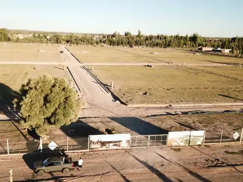 Terreno en Venta de 800,0 m2