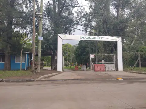 Barrio parque las casuarinas, Viamonte 100