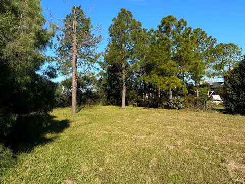 Terreno - Solares del Carcaraña