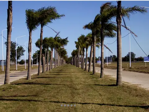 Terreno en Venta de 300,0 m2