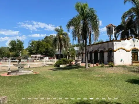 Zorrilla De San Martin Y Tabaré 100, Piso 0