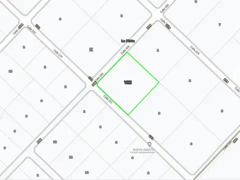 Terreno en venta - 1 hectárea - Abasto