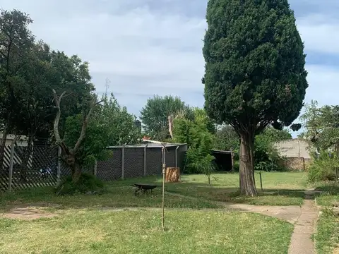 Ingeniero Queirel 600