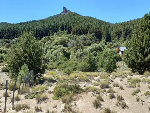 lote en venta soleado y lindas vistas en Meliquina