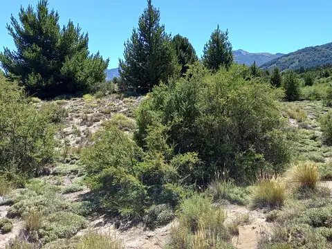 Terreno en Venta en Meliquina, USD 24.005