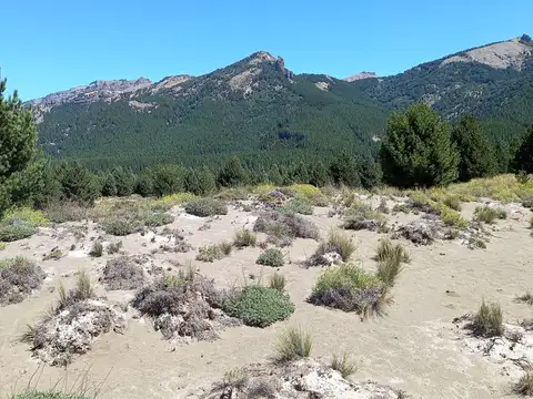 Terreno en Venta en Meliquina, USD 24.005