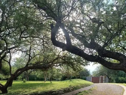 Anisacate – Exclusivas Parcelas de 5.000 m² sobre Autovía •