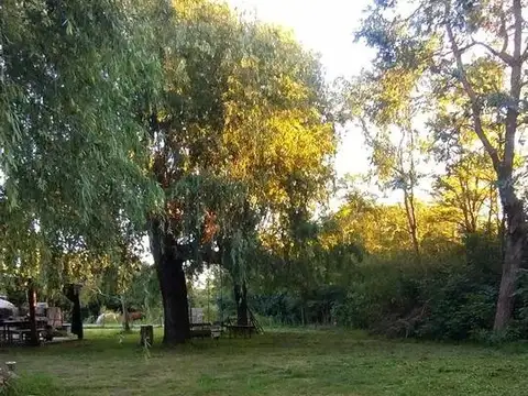 544 y Avenida de Tomaso