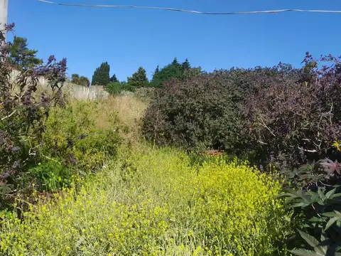 Lote 750 mt2 en  San Carlos