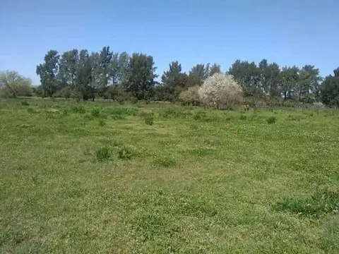 Terreno en Venta 60  mts Fondo