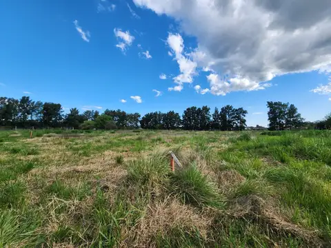 Terreno en venta - 2.658Mts2 - Olmos, La Plata