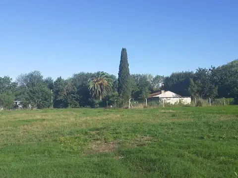 Terreno en Venta en 47 E/ 11 Y 12 LOTE 3 Villa Elisa - Alberto Dacal Propiedades