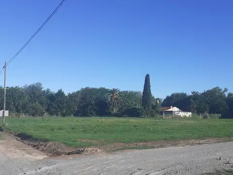 Terreno en Venta 42  mts Fondo