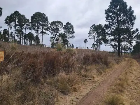 Terreno en Venta de 4109,0 m2