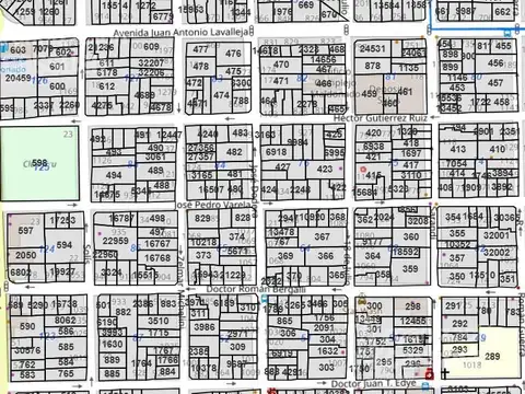 Terreno en Centro Maldonado 1242 m2 - inversores - Apto para edificio 10 pisos