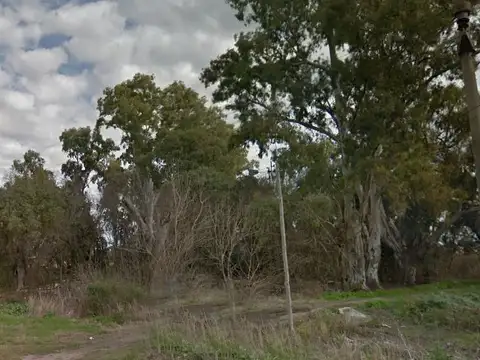 Campo en Venta Agricola