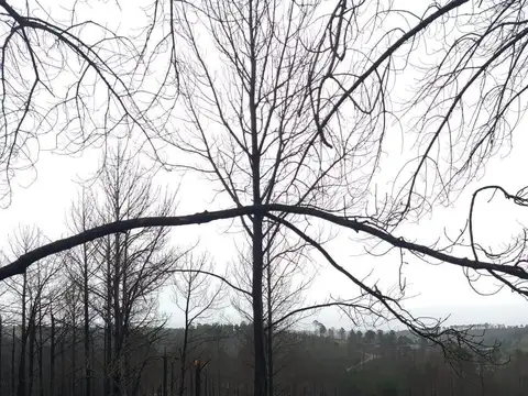 Terreno en Venta de 2900,0 m2