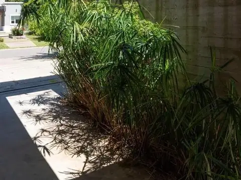 Jorge Newbery 4550, Mar Del Plata, Buenos Aires, Argentina.