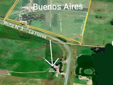 Campo con instalaciones de Feedlot en venta – Las Flores, B