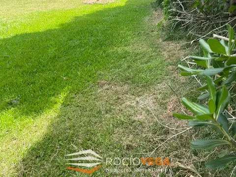 Terreno en Venta 30  mts Fondo