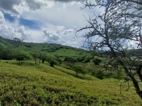 Terreno en Venta de 1800,0 m2