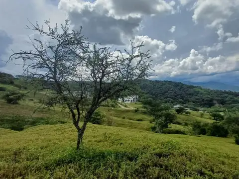 La Reserva, lote 207