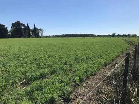 16 hectáreas casa luz arboleda acceso internet