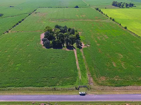 16 hectáreas casa luz arboleda acceso internet