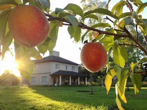 Casa en Venta de 4 dormitorios