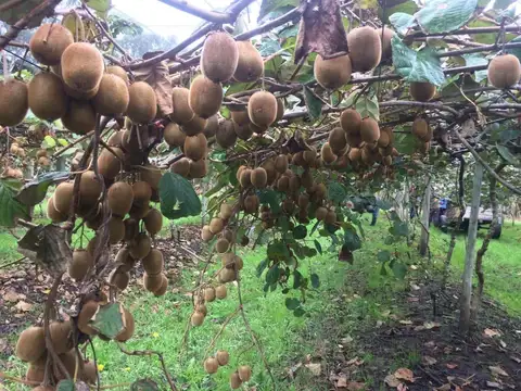 Sierra de los Padres