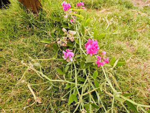 Terreno en Venta en Plottier, USD 27.500