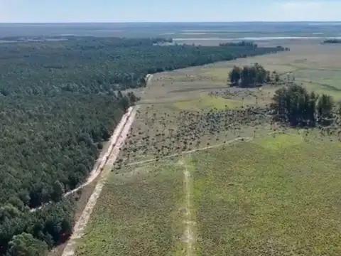 Campo en venta en Santa Rosa-Corrientes