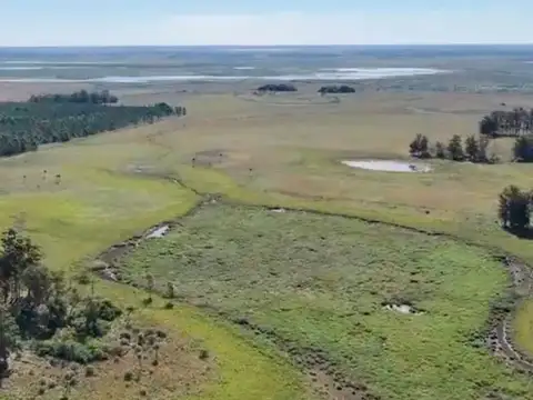 Campo en Venta Mixto