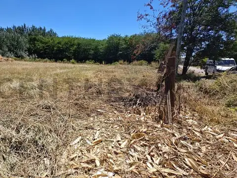 Terreno en Venta de 1850,0 m2