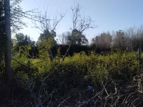 Cuenca y guevara 100, Piso 0