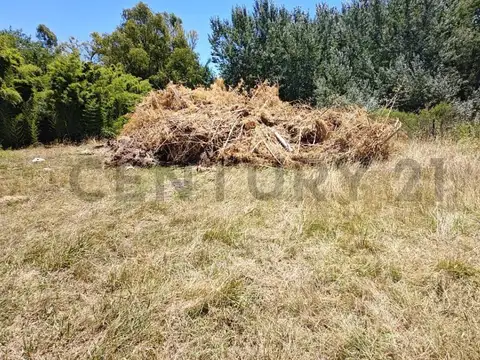 Cuenca y guevara 100, Piso 0